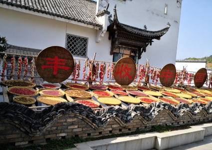 ニューズレター